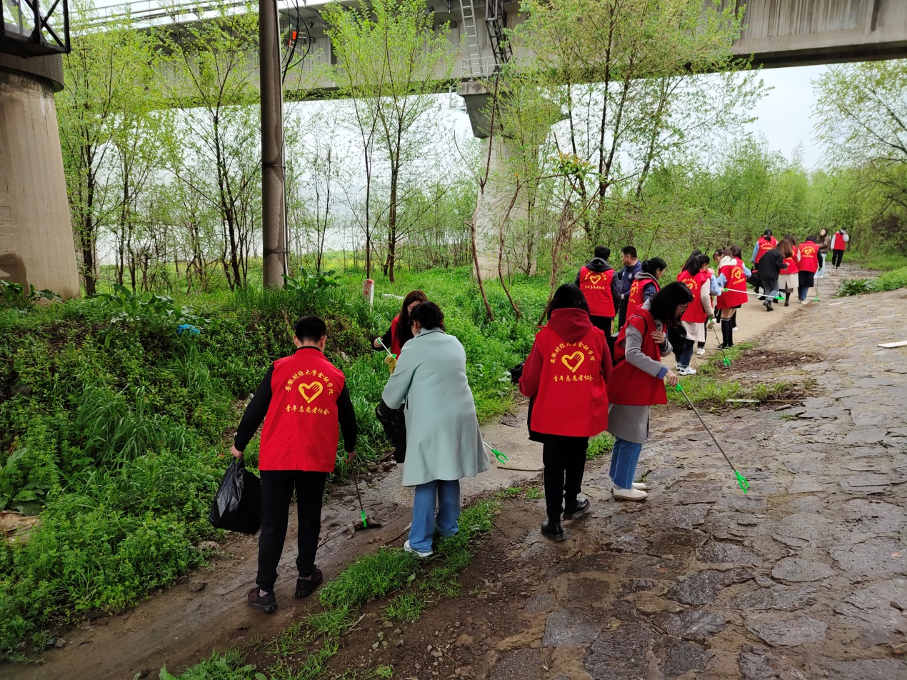 青春告白祖国-食环青年为树刷白志愿行-食品与环境工程学院-滁州职业技术学院